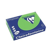 VÝPRODEJ - Papír Clairefontaine A4/160g/250 1025 intenzivní zelená
